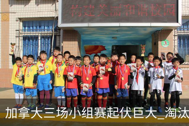 加拿大三场小组赛起伏巨大 淘汰赛若对战韩国不轻松