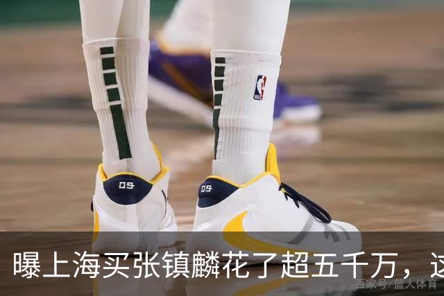 曝上海买张镇麟花了超五千万，这相当于一支球队整个赛季收入！