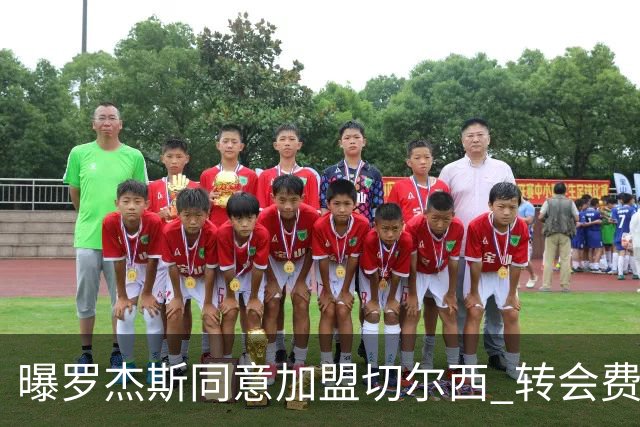 曝罗杰斯同意加盟切尔西 转会费1.17亿镑合同期6+1年
